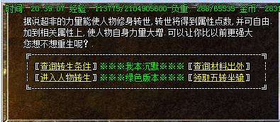 飞扬复古NPC展示