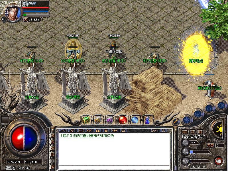 180龙腾星王NPC展示