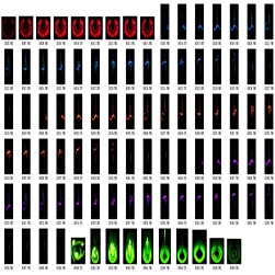 传奇SF人物登录触发特效一组